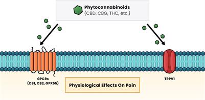 Cannabidiol (CBD) for the treatment of subcutaneous treprostinil (Remodulin®) site pain: a case report